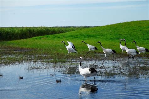 大塩湿地！広大な自然と貴重な鳥類の楽園へようこそ！