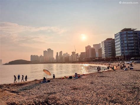 해운대 해수욕장, 그곳에서 바다와 도시의 경계를 넘나드는 이야기